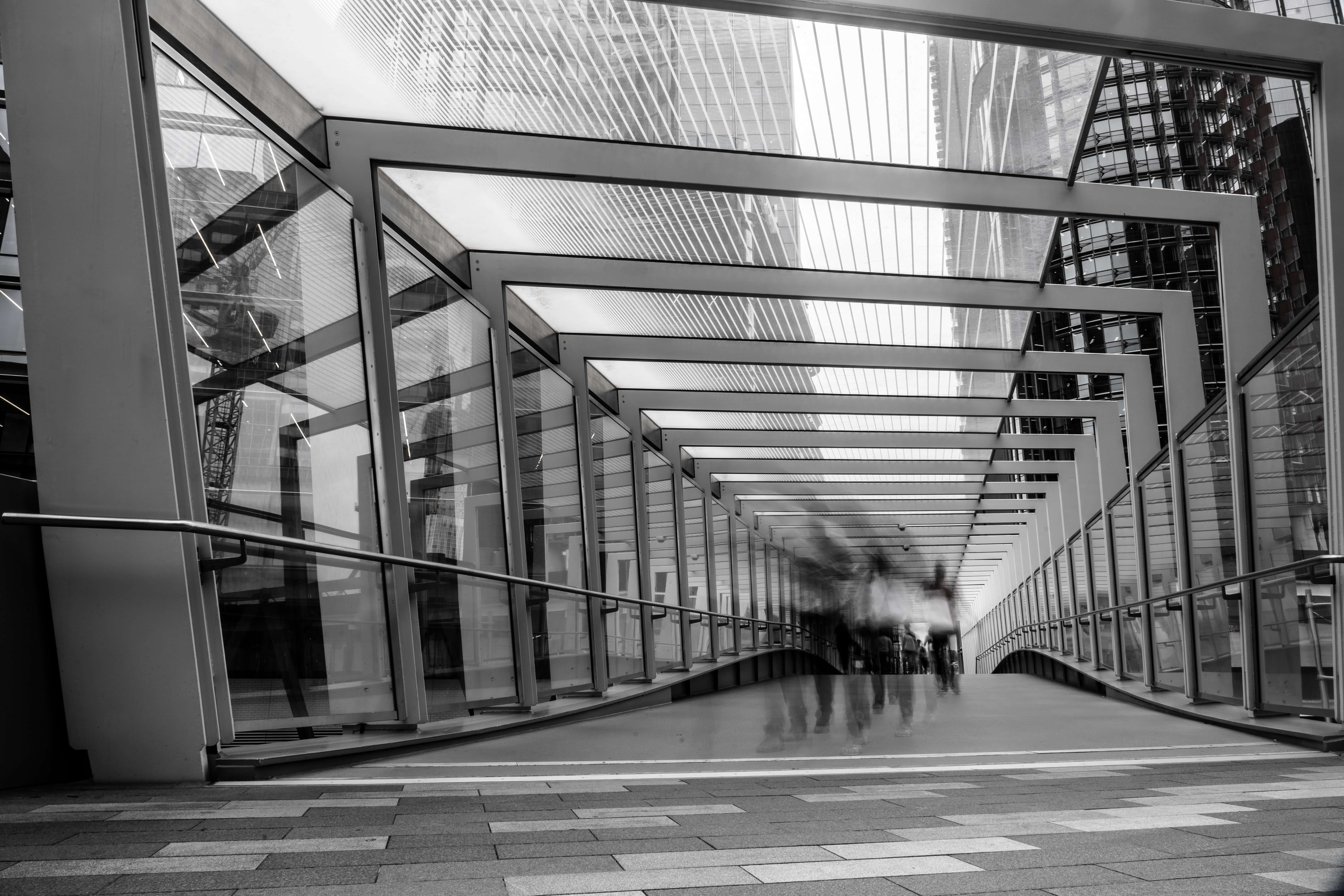 people inside glass panel building