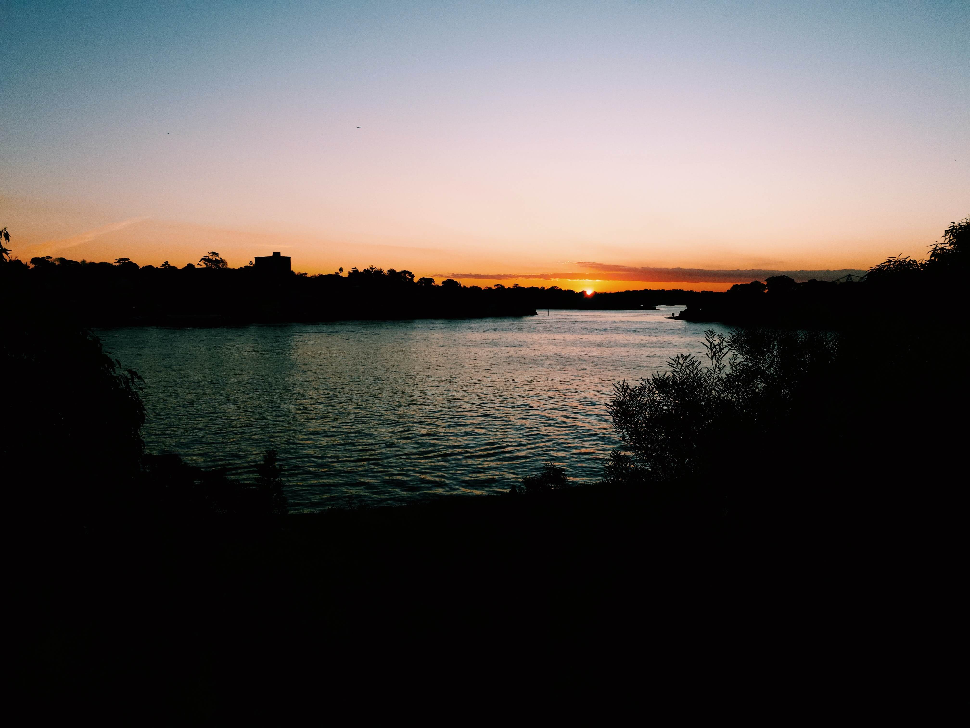 silhouette of trees near body of water during sunset